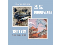 2025년 1월 17일 조도방파제 조황