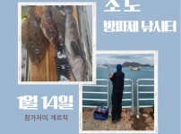 2025년 1월 14일 조도방파제 조황