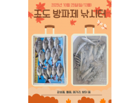 2025년 10월 26일 동삼어촌체험마을 조도방파제 낚시터 조황입니다.