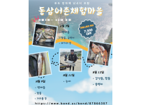 2025년 조도방파제 낚시터 8월 3일~13일까지의 조황입니다.