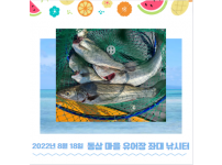 2022년 8월 18일 동삼어촌체험휴양마을 유어장 낚시터 조황입니다.