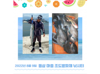 2022년 8월 9일 동삼어촌체험휴양마을 조도방파제 조황입니다.