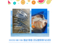 2022년 8월 13일 동삼어촌체험마을 조도방파제 조황입니다.