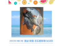 2022년 8월 3일 동삼어촌체험휴양마을 조도방파제 조황입니다.