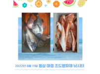 2022년 8월 11일 동삼어촌체험마을 조도방파제 조황입니다.