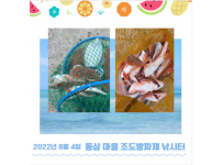 2022년 8월 4일 동삼어촌체험휴양마을 조도방파제 조황입니다.