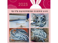 2023년 1월 17일 동삼어촌체험마을 조도방파제 낚시터 조황입니다.