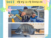 2023년 3월 6일 동삼어촌체험마을 유어장놔대낚시터 조황입니다.