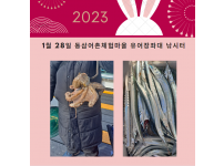 2023년 1월 28일 동삼어촌체험마을 유어장 낚시터 조황입니다.