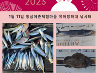 2023년 1월 11일 동삼어촌체험마을 유어장 낚시터 조황입니다.