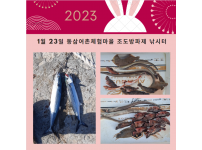 2023년 1월 23일 동삼어촌체험마을 조도방파제 조황입니다.