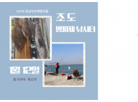 조도 방파제 낚시터 조황 - 1월 12일