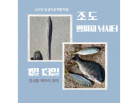조도방파제 낚시터 조황 - 1월 13일