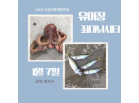 유어장 조황 - 1월 7일
